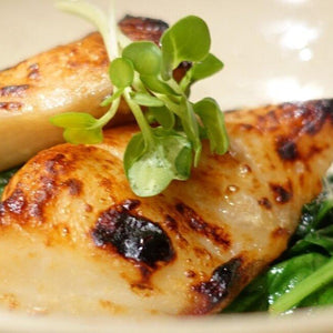 Miso Glazed Black Cod